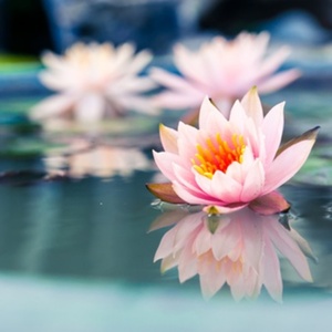 Lesson image