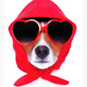 Award Comment Avatar Image