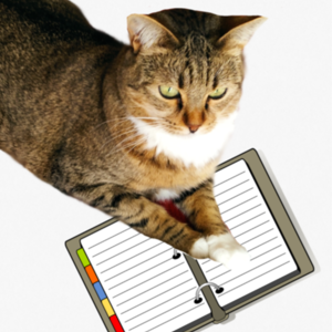 Lesson image