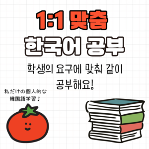 한국어 개인 맞춤 레슨